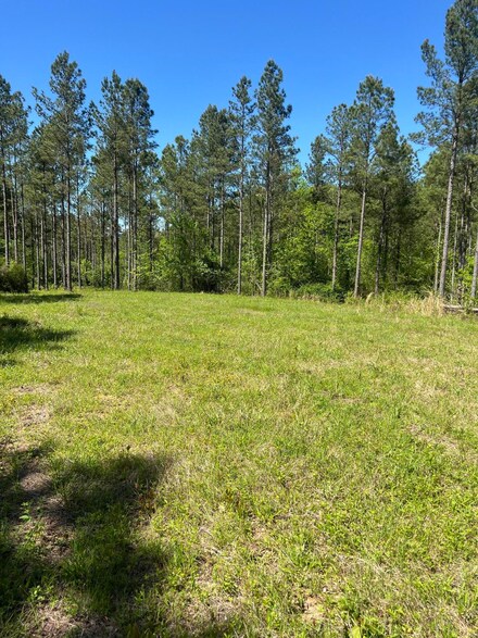 453 Ferguson Rd, Decatur, TN 37322