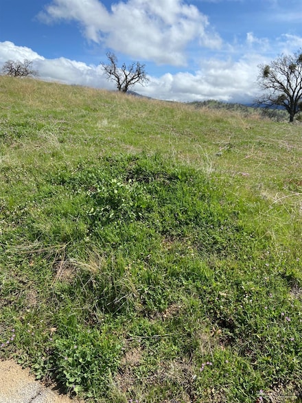 30004 Arvin Ct, Stallion Springs, CA 93561