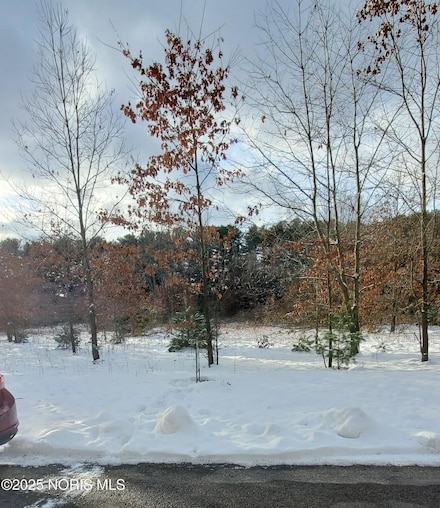 5050 Manore Rd, Swanton, OH 43558