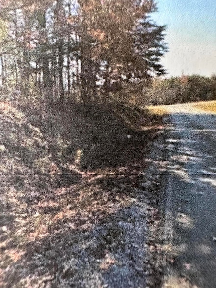 0 Doe Run Rd, Rocky Mount, VA 24151