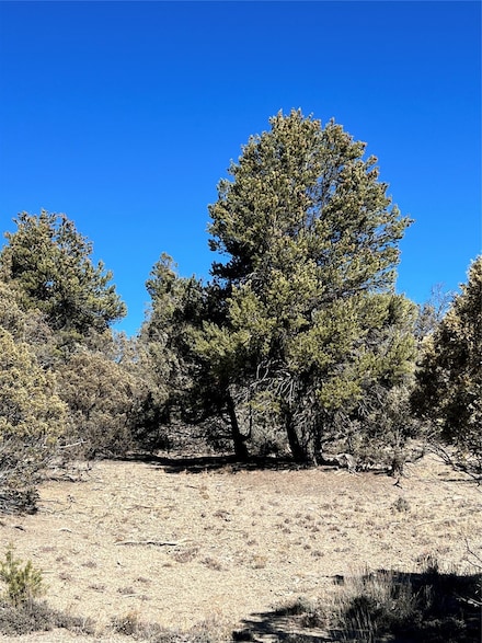 0 Willow Creek Rd, Los Ojos, NM 87551
