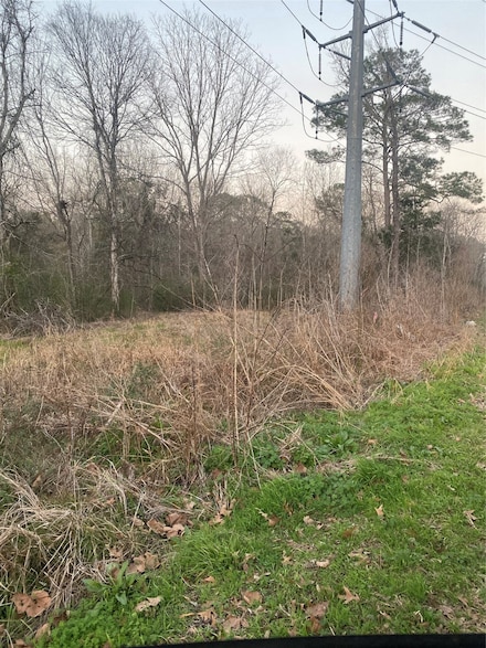 0 Maple St, Daisetta, TX 77533