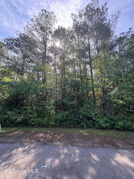 809 Sumac Ln, Vass, NC 28394