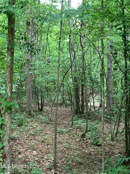 0 David Watkins Dr, Brandon, MS 39042
