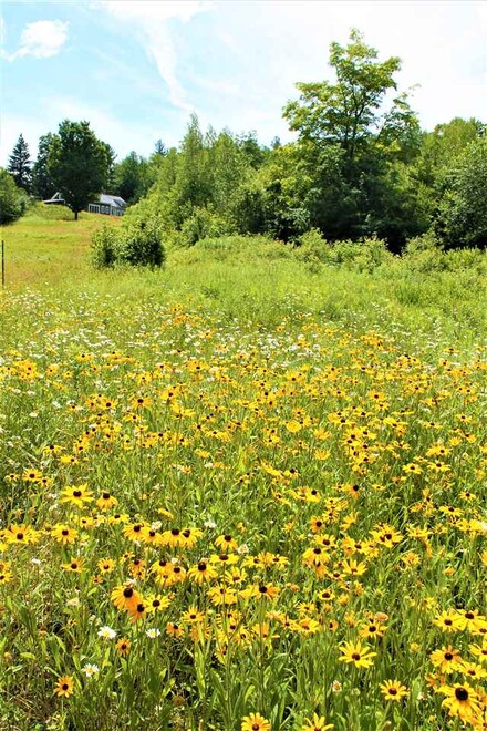 236 Mountain Rd, Newbury, NH 03255