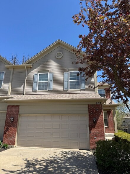 207 Black Hill Dr, Streamwood, IL 60107