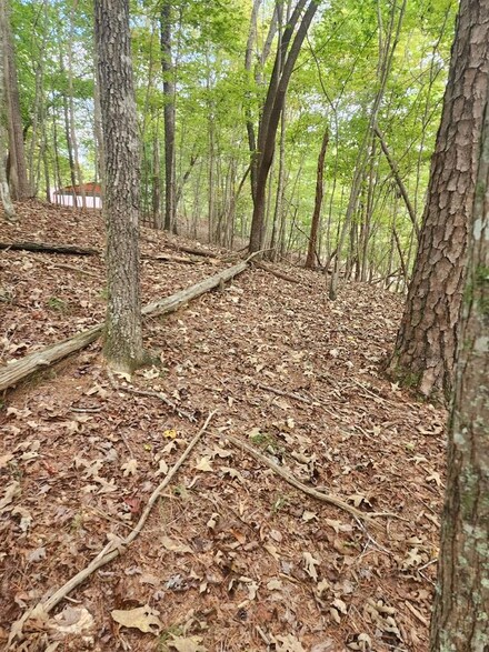 0 Mascot Dr Unit 419913, Ellijay, GA 30540