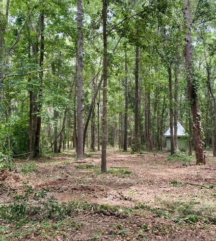 Lot 12 Charles Samuel Dr, Tallahassee, FL 32309
