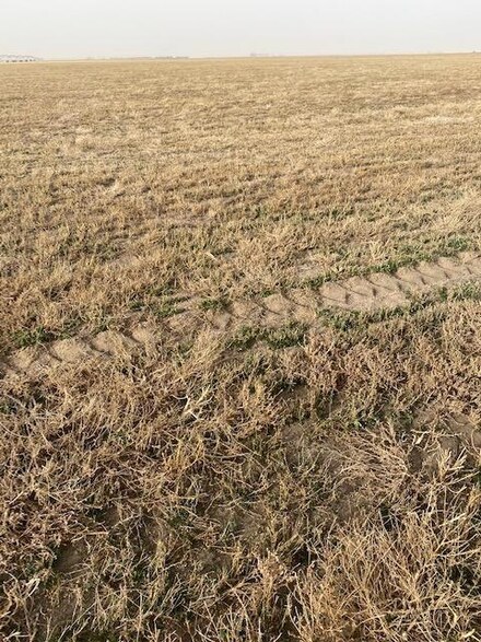 0 Sec 12 Township 27 Range 31 Unit 18681, Sublette, KS 67877