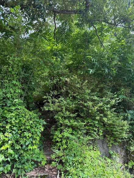 365 Fair St SE, Cleveland, TN 37311
