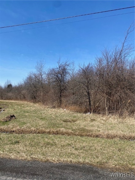 1955 Youngstown Wilson Rd, Ransomville, NY 14131
