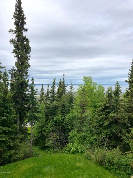15741 Stanwood Cir, Anchorage, AK 99516