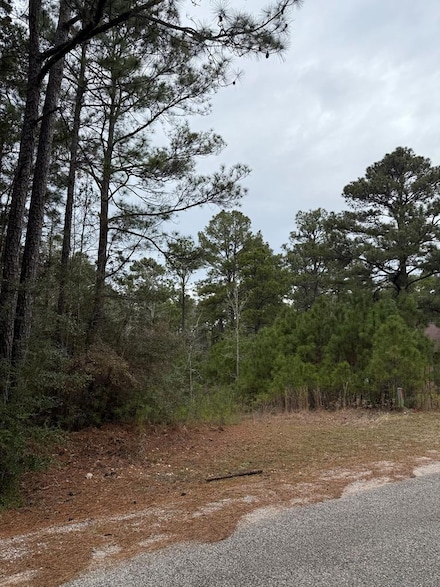 10 Pine Hollow Cove, Brookeland, TX 75931