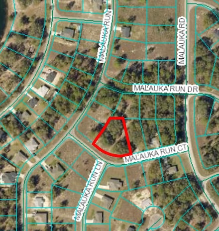 TBD Malauka Run Ct, Ocklawaha, FL 32179