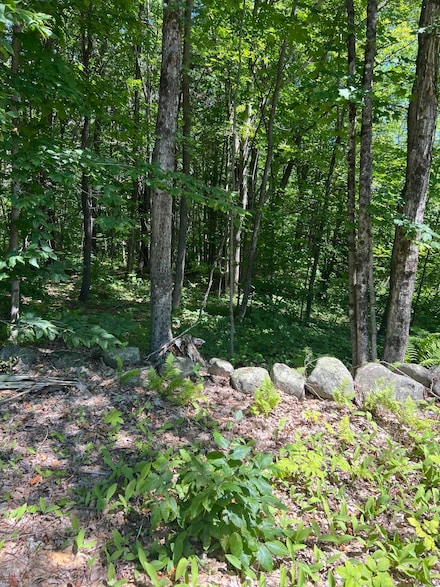 003 Fosterville Rd, Bridgton, ME 04009