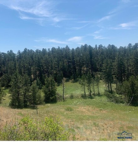 13018 Bay View Ln, Northeast Fall River, SD 57747
