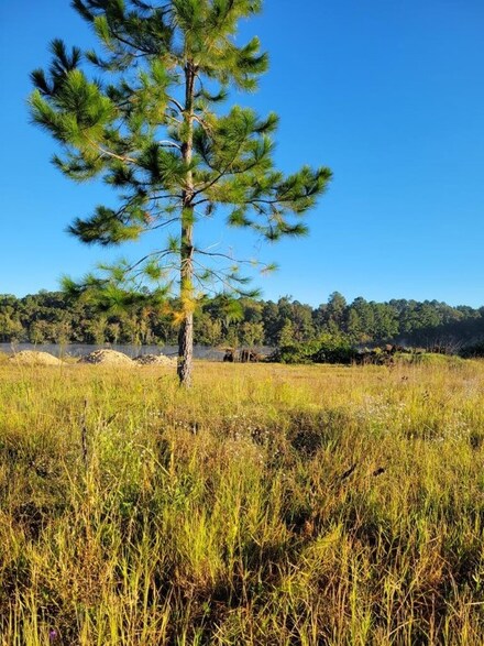 03 Alton Cir, Deenwood, GA 31501