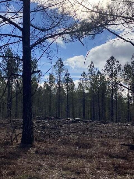 Lot 3 Thomas Springs Rd, Crossville, TN 38572