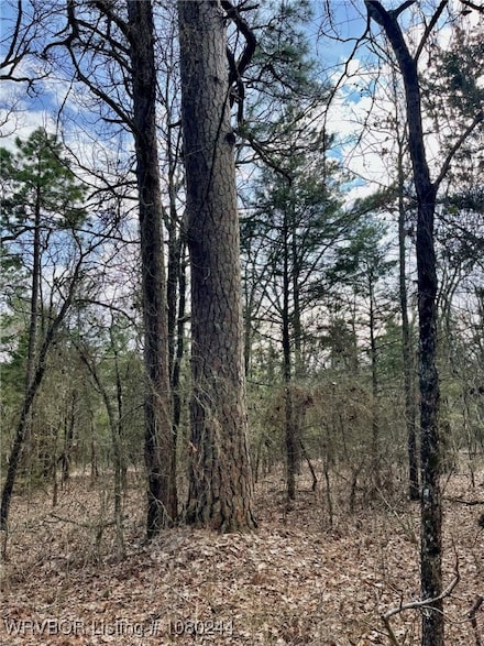 Tract 10 Station Rd, Bokoshe, OK 74930