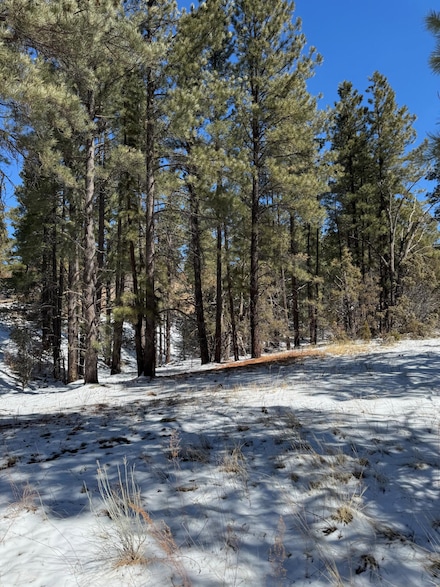 0 Sawmill Canyon Rd, Ramah, NM 87321