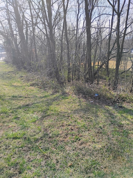 0 Dogwood Ln, Laymantown, VA 24175
