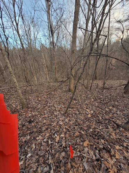 5-2 Lots 13 15, Corinth, KY 41010