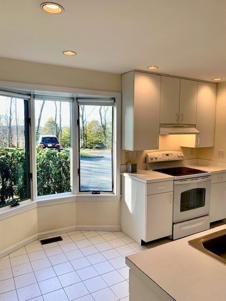 30 Lucille Place Unit 30, Newton Upper Falls, MA 02464
