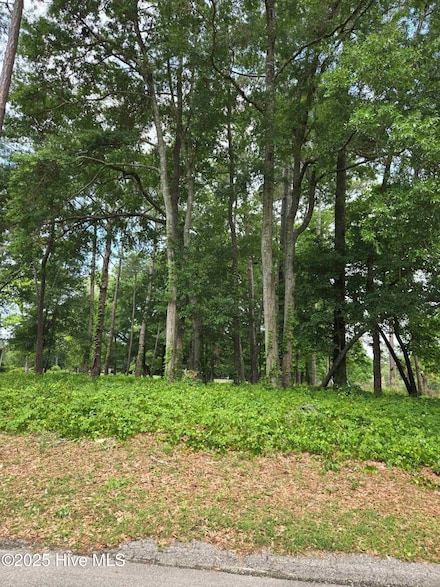 1629 Colonist Square SW, Ocean Isle Beach, NC 28469