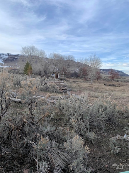 0 China Creek Rd Unit 98905324, Castleford, ID 83302