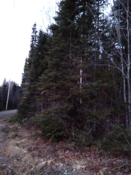 lot 11 Dump Rd South Rangeley Heights, Rangeley Plantation, ME 04970