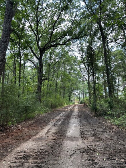 Hwy 55, Red Level, AL 36474