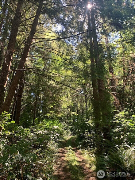 285 Parpala Rd, Naselle, WA 98638