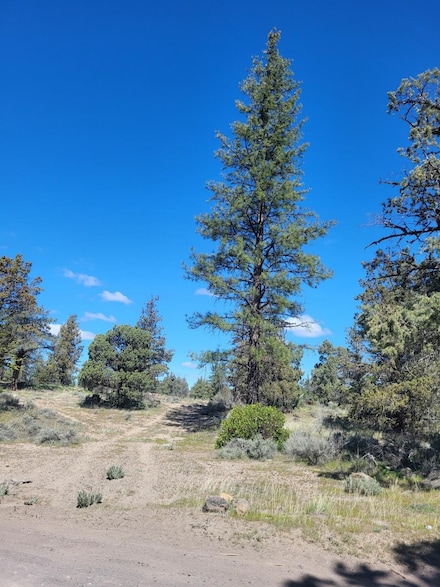 Blk 78 Lot 9 Proteau Rd, Montague, CA 96064
