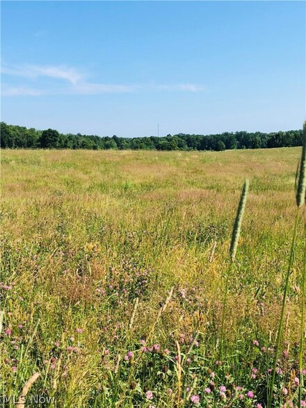 0 Building Lot #3 Hatches Corners Rd Unit 4343469, Conneaut, OH 44030