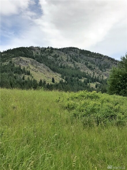 77 Homestead Rd, Winthrop, WA 98862