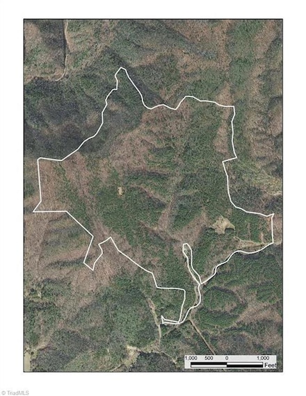 1501 Buckwheat Rd, McGrady, NC 28649