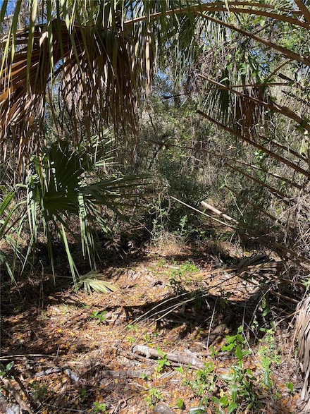 2519 W Plumtree Ln, Dunnellon, FL 34433