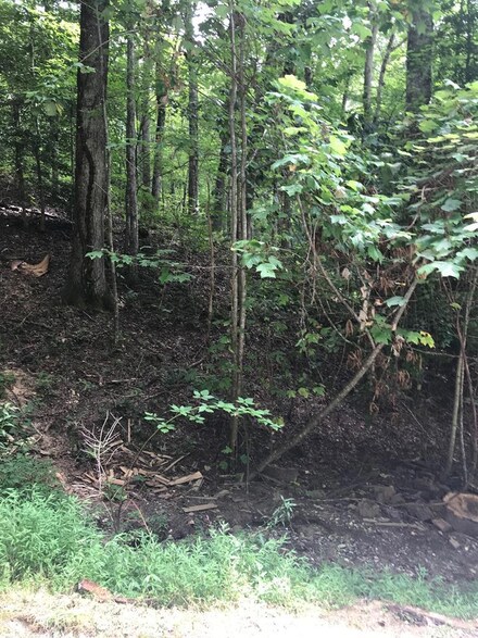 Lot 7 Vista Loop Rd, Topton, NC 28781