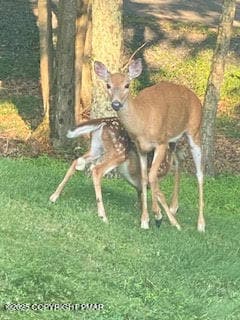 Lot 14  & 15 Pocono Mountain Lake Dr, Pocono Mountain Lake Estates, PA 18324