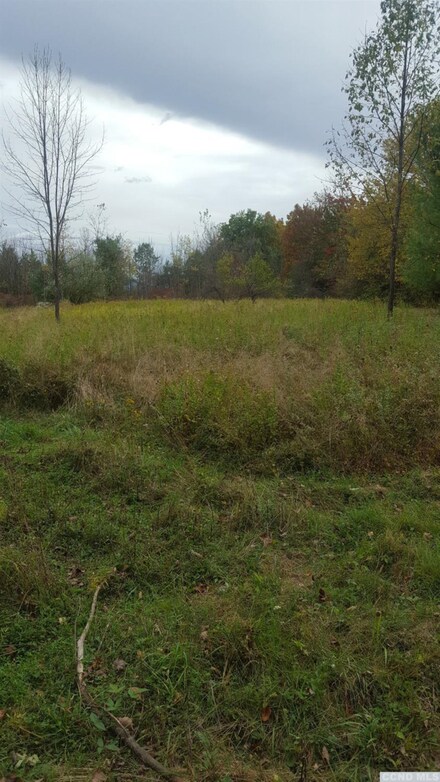 0 Livingston Rd, Cairo, NY 12431