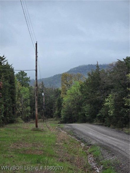 TBD Turkey Ridge Rd, Magazine, AR 72943
