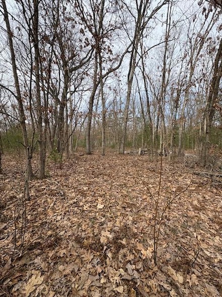 0 Macdougall Dr Unit 25015253, Valley Township, MI 49010