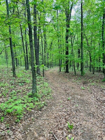 Tract B Madison Cr 5450, Elkins, AR 72727