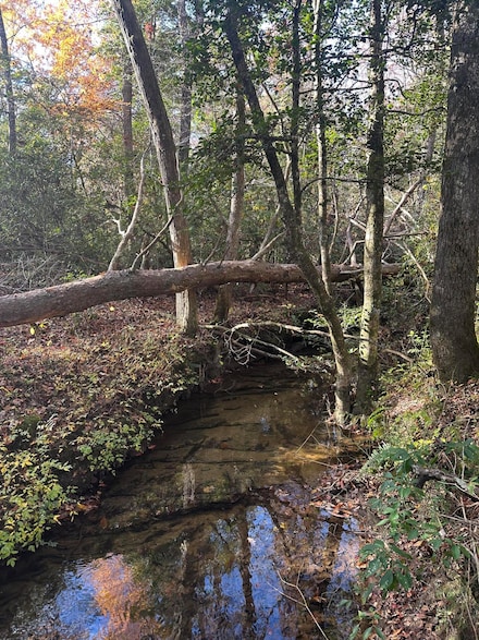 4982 Colony Rd, Gruetli Laagr, TN 37339