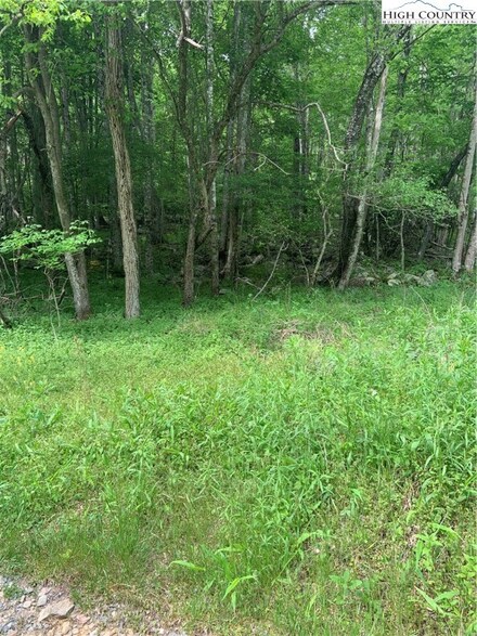 Lot 28 Devils Lake Dr, Seven Devils, NC 28604