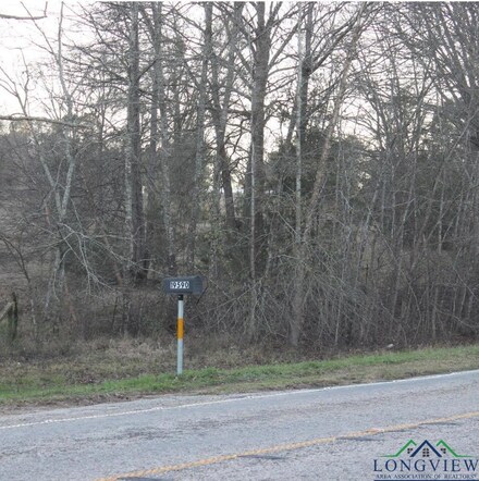 TBD Fm 2208, Harleton, TX 75651