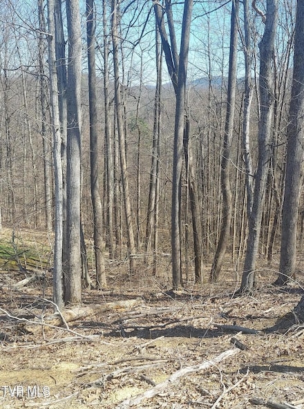 Lot 76 Golf Course Rd, Unicoi, TN 37692