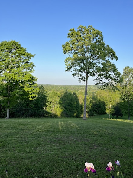 2270 Tennessee 230, Nunnelly, TN 37137