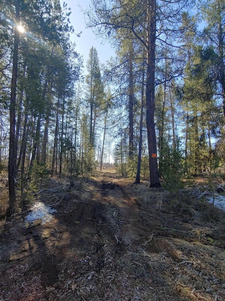 0 Artesian Dr Unit Lot 5 220197893, Chiloquin, OR 97624