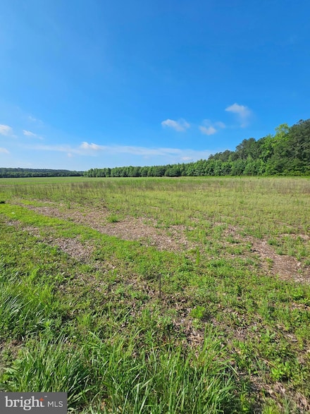 LOT 2 Harbeson Rd, Harbeson, DE 19951